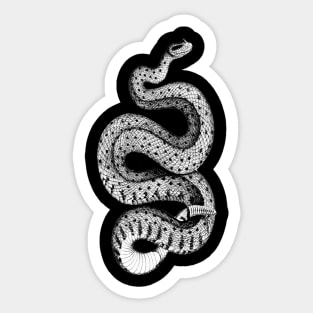 Horned Rattle snake Sticker